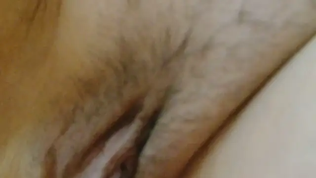 sonyx live webcam
