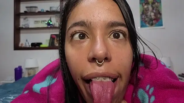 stephania_t