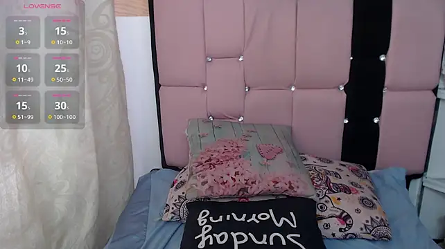 palmer_mIix webcam