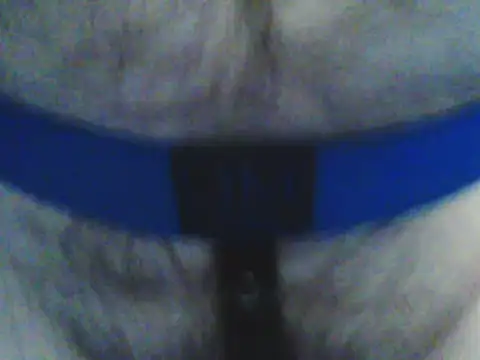 GeilerHSVFAN1989 webcam