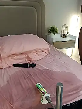 Liastarkk webcam