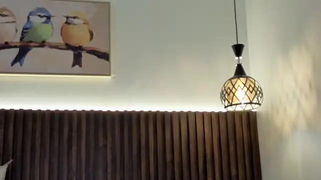 valeriavg webcam