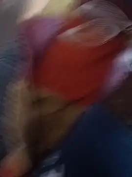 sexybhabi114