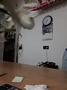 LittleFlower777 live cam on StripChat