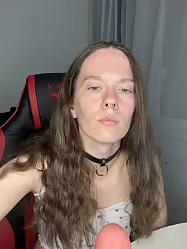 Vulgar_Tamer