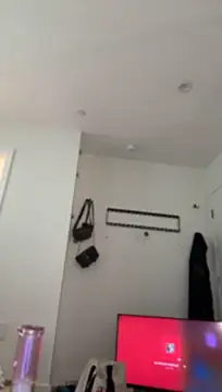 allpawgsgotoheaven