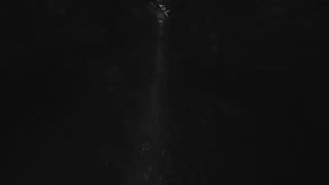 Vuitton live sex cam