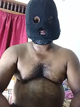 Hiptonos webcam