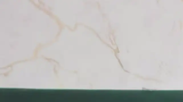 rosal1a webcam