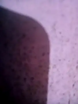 Monika_348 webcam