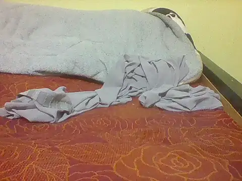 kadolie webcam