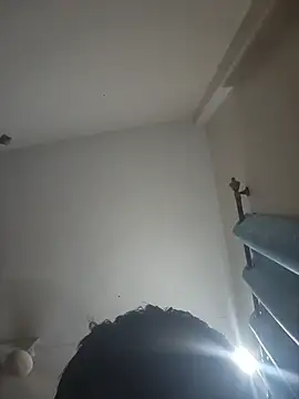 lil_shark8 live cam on StripChat