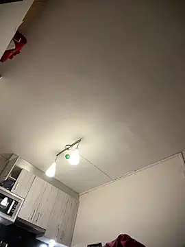 ladyturtle