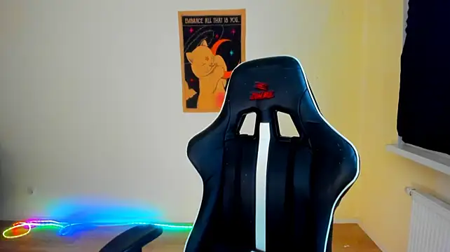your_tora webcam