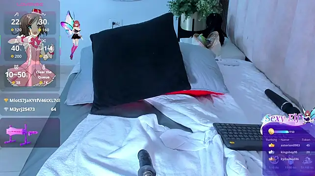 LizSheibaum webcam
