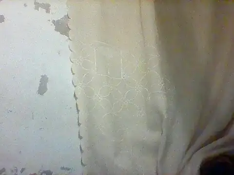 greysea1 webcam