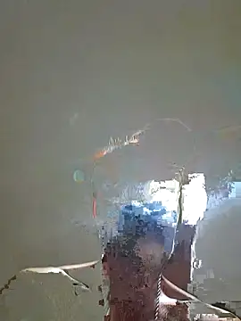 Endriuos webcam