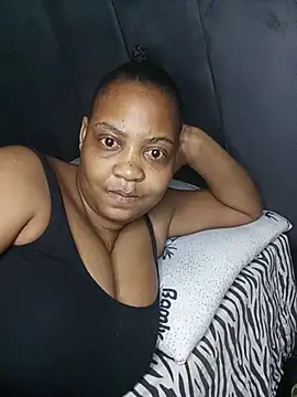 qeeneve webcam