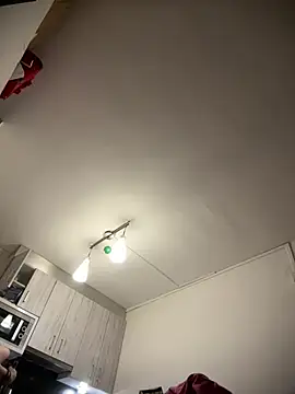 ladyturtle