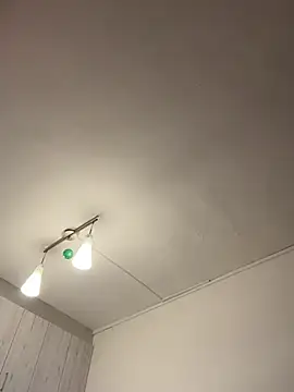 ladyturtle