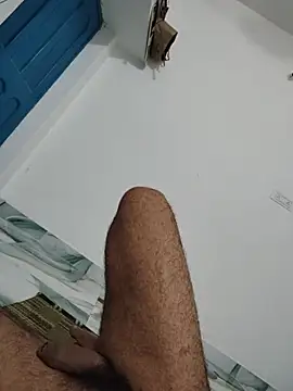 desibull_ webcam
