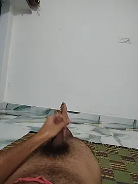 desibull_ (M young) - Master