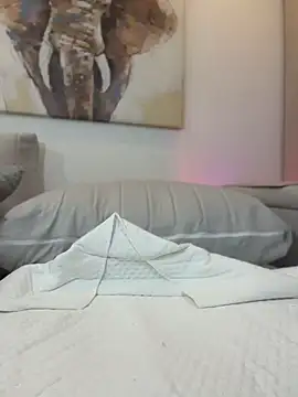 ParisRoux webcam