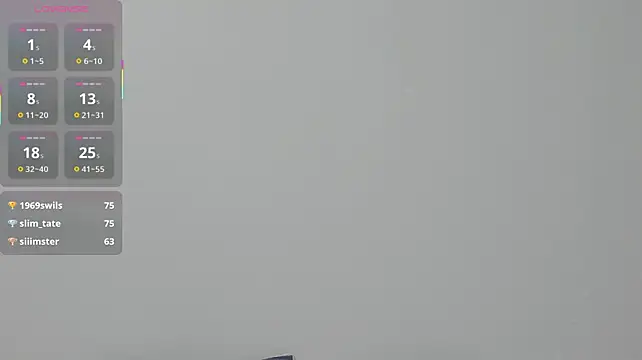 Kiraeko webcam