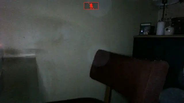 Hgay6935 webcam