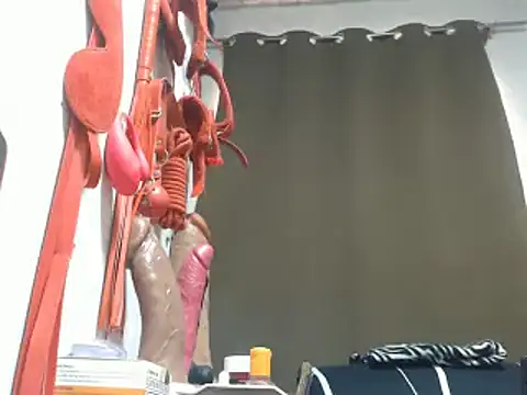 30cmHORSECOCKSELFSUCKER webcam