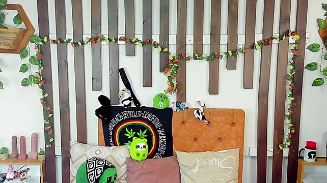 MeowMota_ live webcam