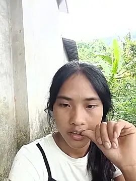 Hoa-tuylip