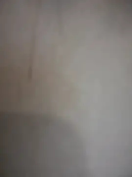 MichelleFerry_