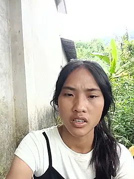 Hoa-tuylip
