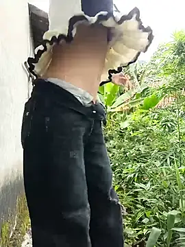 Hoa-tuylip
