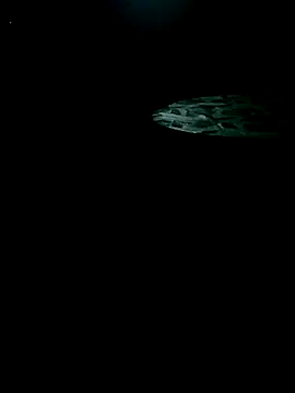 Bigdick_pedro webcam
