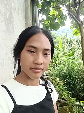 Hoa-tuylip
