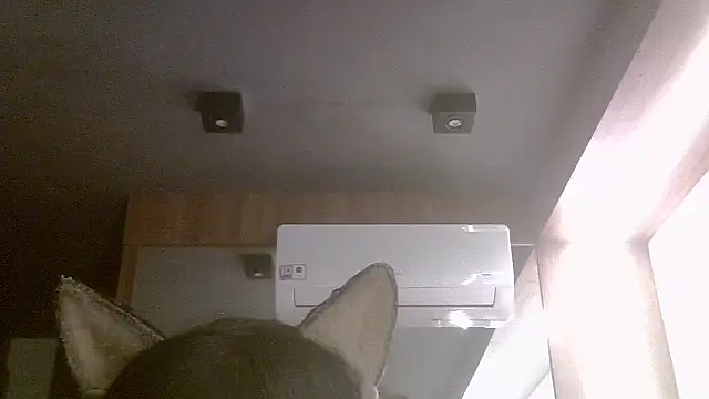SkinnyKitten webcam