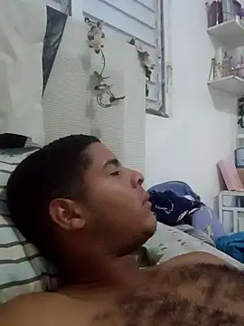 Mithckey webcam