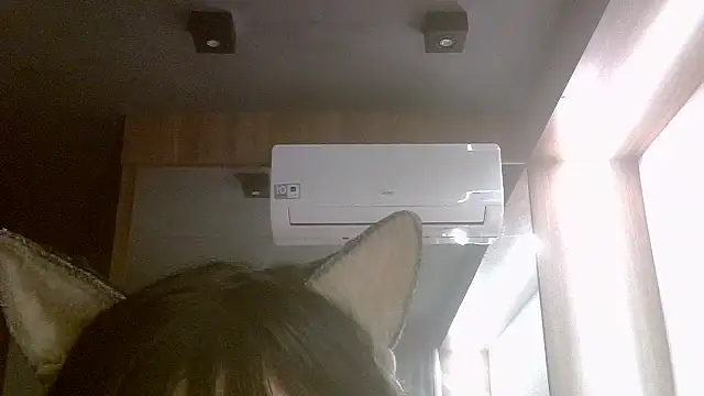 SkinnyKitten webcam