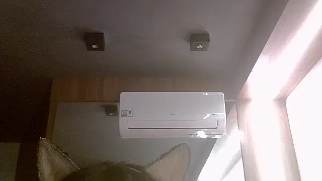 SkinnyKitten webcam