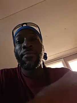 King_BlackStallion