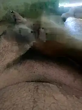 spermc