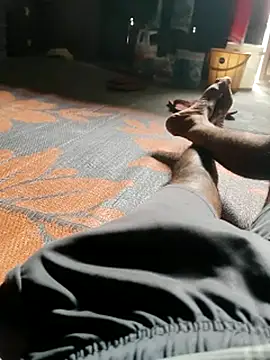 Bengali_BULL1