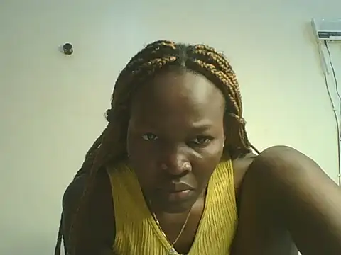 Mimo254