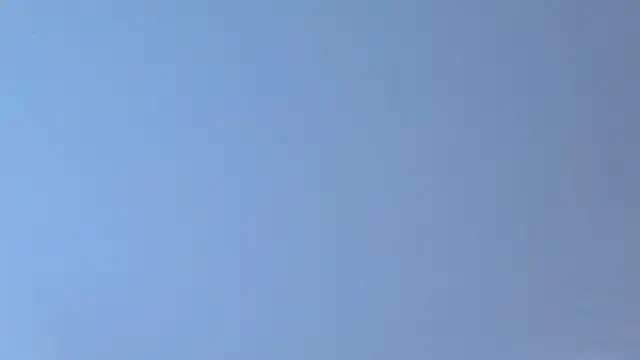 Miless_Cooper