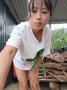 Linda-yiyi live cam on StripChat