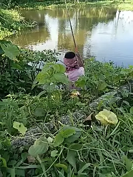 Cool_boy121 live sex cam