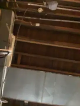 cum4calvin