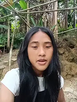Hoa-tuylip